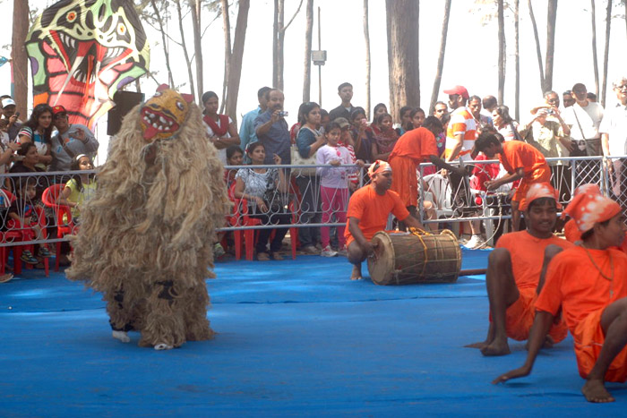 Chikoo Festival Bordi