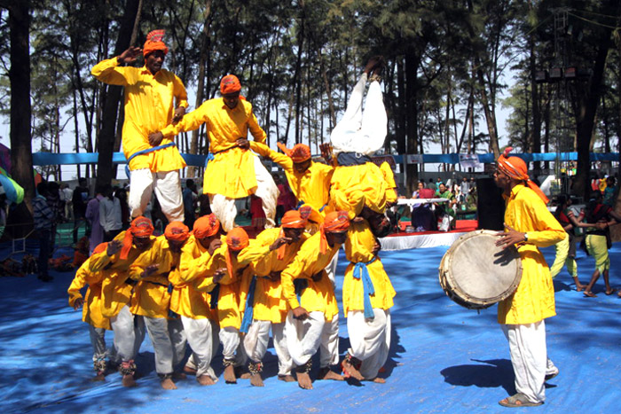 Chikoo Festival Bordi