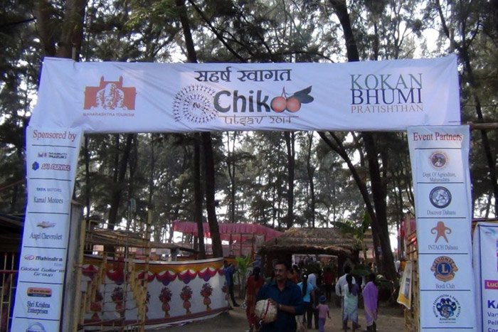 Chikoo Festival Bordi