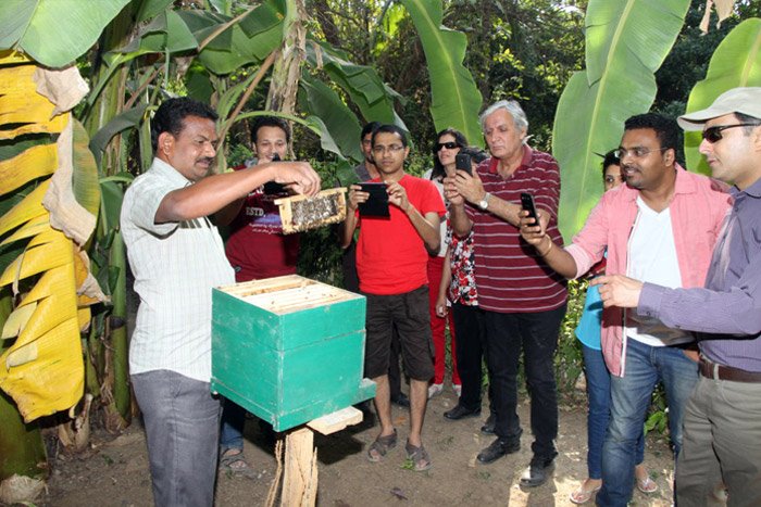 Chikoo Festival Bordi